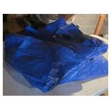 Tarp