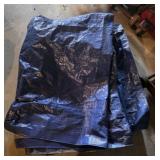 Tarp