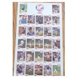 Vintage 1992 Winston-Salem Spirits Bullpen Chew