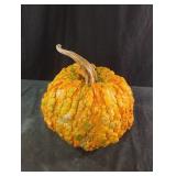 Unique homegrown pumpkin sprayed with schlack. N