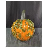 Unique homegrown pumpkin sprayed with schlack. N
