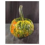 Unique homegrown pumpkin sprayed with schlack. N