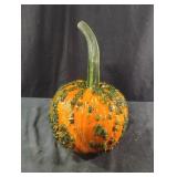Unique homegrown pumpkin sprayed with schlack. N