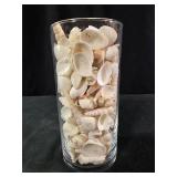 Seashells in glass vase 7 25"