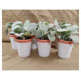 Faux decorative plants. 7 total