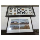2 Framed Pictures