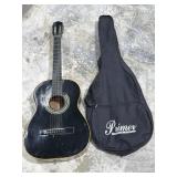 Guitar w/ Case