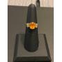 Pacific Online Auction