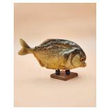 41:11 Piranha Taxidermy