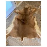 White Tail Deer Hide