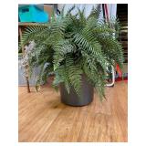 Faux Fern Plant