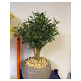 Fake Olive Tree Plant