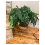 #2 Fern With Stand