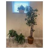 Faux Plants and Tree