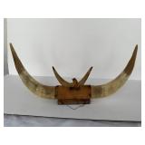 #4 Vintage Small Bull or Steer Horn 20' Mount