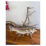 Mounted Bass