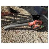 2 Leaf Blowers
