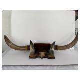 #3 Steer/Bull Horns Hoof Mount - 42' Long