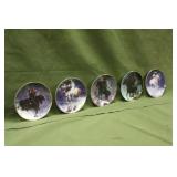 (5) Franklin Mint Collector Plates Native American