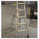 Little Giant Extendable Aluminum Ladder
