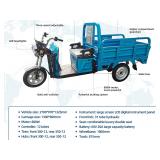 ELECTRIC TRICYCLE - IRET13 - ASSEMBLY REQUIRED