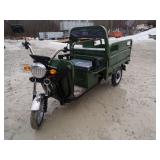 ELECTRIC TRICYCLE - IRET13