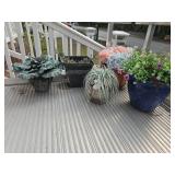 Flower Pots Lot 1 Flower Pots Lot 1