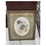 Framed Hummingbird Illustration by J. Gould, Parag