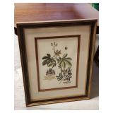 Framed Botanical Print with Crest and Inscription,