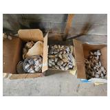 Seashells in Boxes and Basket