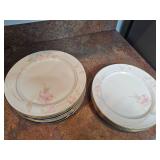 12 Mikasa Ivory Bone China Dinner Plates