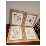 Four Framed Botanical Prints
