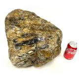 Massive Petrified Wood crystallized Mineral Rock.