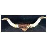 Bull Horn Mount, 29"