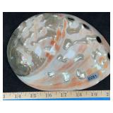 Polished 7' Red Abalone Shell