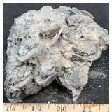 2007 Alabaugh Fire-Melted Coin Conglomeration