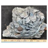 2007 Alabaugh Fire-Melted Coin Conglomeration