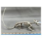Molded Plastic Lifesize Rat Skeleton