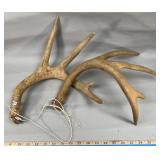 Pair of Deer Call Faux Antler Sheds