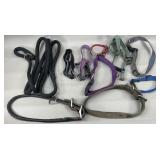 Pet Collars & Leash