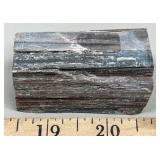 Petrified Wood, 2.25' x 1.25'