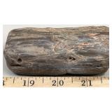 Petrified Wood, 4' x 2' x 1'