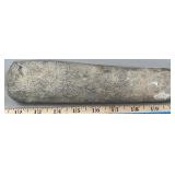 Baculites Cephalopod Segment 9' Fossil
