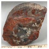 Red Petrified Wood, 5.5' x 3.5' x 2.5'