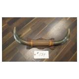 BULL HORNS ONE IS LOOSE