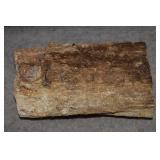 RARE Fossilized Wood w/ Tree Bark   8Lbs