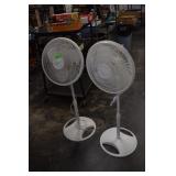 Two Standing Fans