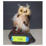 Owl With Real Feathers On Rock