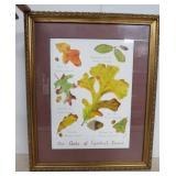 'The Oaks of Central Texas' Painting on Canvas