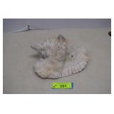 Large 11' Conch Shell